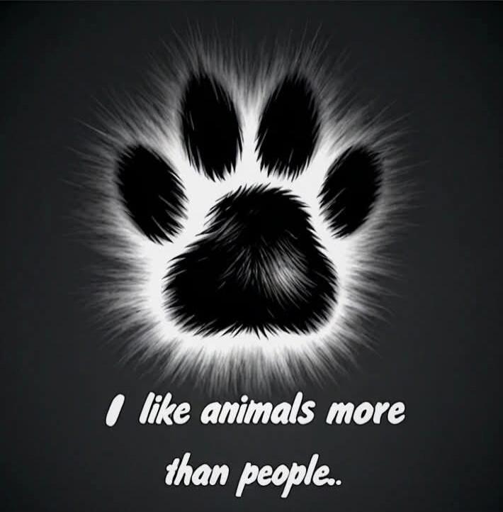I like animals more than people.
