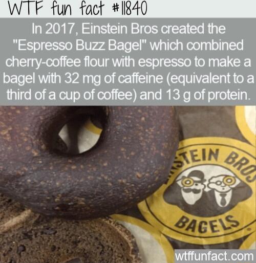 WTF fun fact 1840