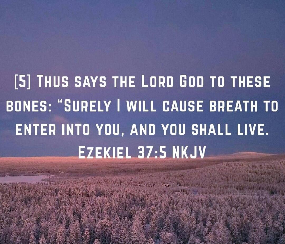 [5] Thus says the Lord God to these bones: “Surely I will cause breath to enter into you, and you shall live. Ezekiel 37:5 NKJV