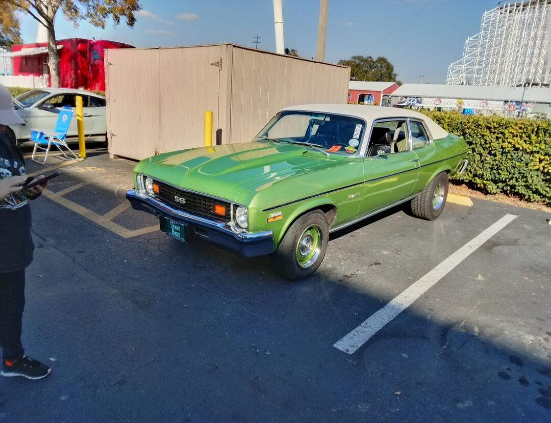 SS 350 GREEN BEAN