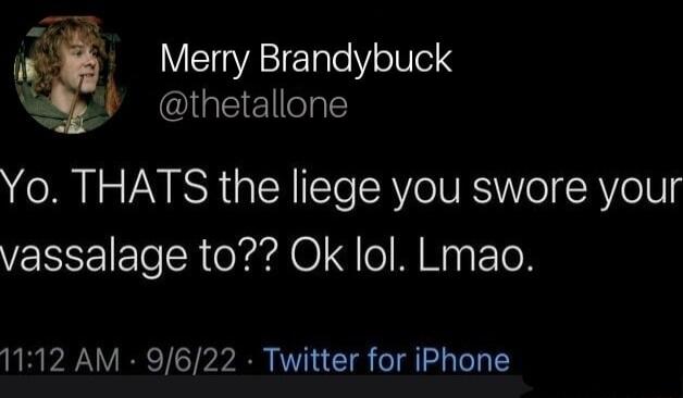 Yo THATS the liege you swore your vassalage to Ok lol Lmao 1112 AM 9622 Twitter for iPhone