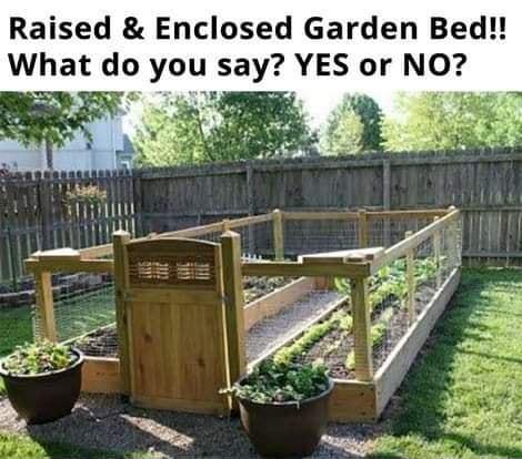 Raised Enclosed Garden Bed What do you say YES or NO