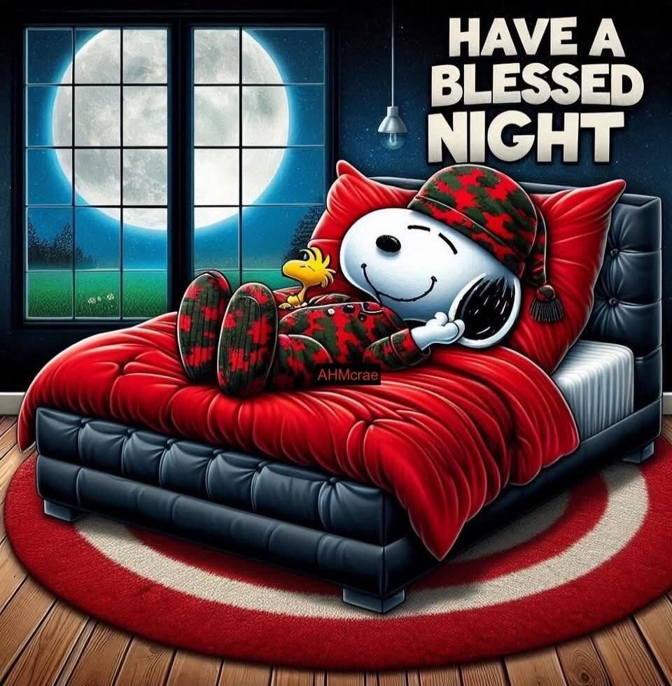HAVE A BLESSED NIGHT