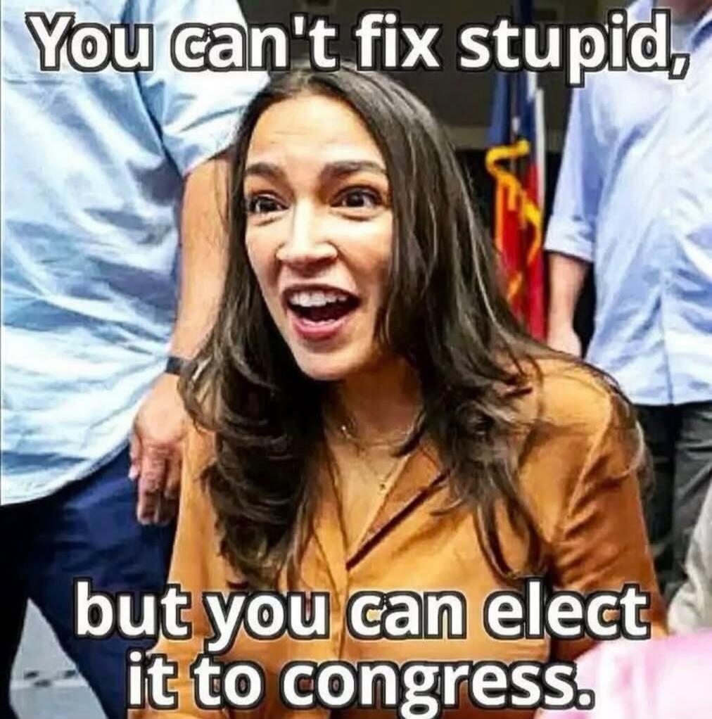 You can't fix stupid, but you can elect it to congress.