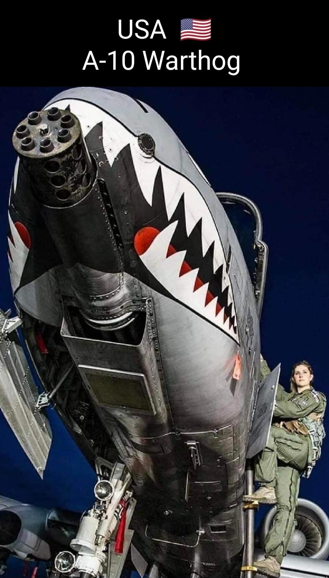 USA A-10 Warthog. A female pilot is climbing into the cockpit of an A-10 Warthog aircraft, which features shark mouth nose art and a large Gatling gun.