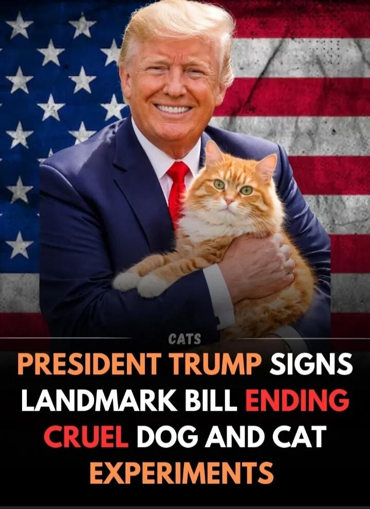 CATS
PRESIDENT TRUMP SIGNS LANDMARK BILL ENDING CRUEL DOG AND CAT EXPERIMENTS