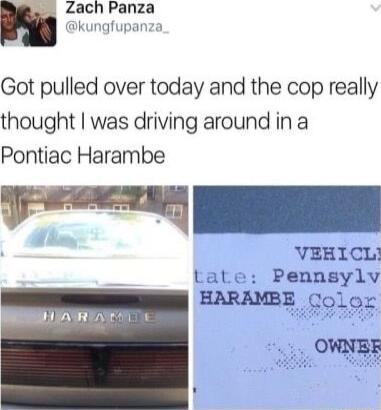 Zach Panza kungfupanza Got pulled over today and the cop really thought was driving around in a Pontiac Harambe VEEICL tate Pennsylv HARAMBE AL I ASREAE