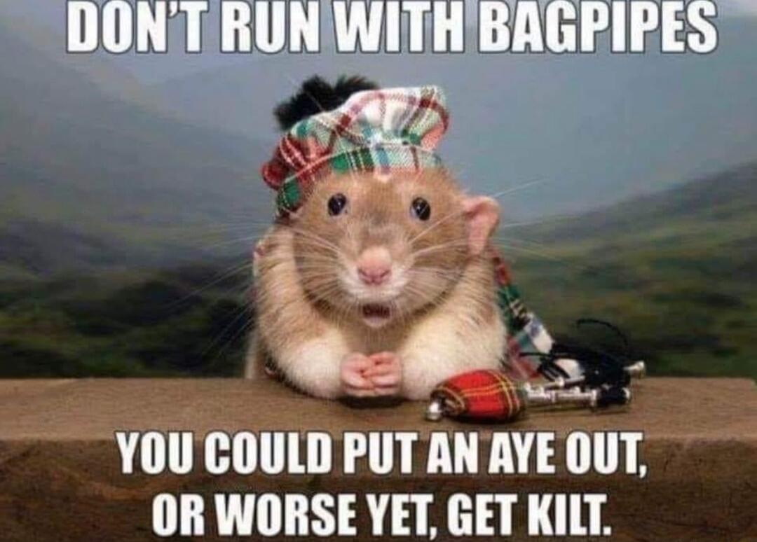 DONTRUNWITHBAGPIPES S YOUCOULDPUTANAYEOUT OR WORSE VET GET KILT