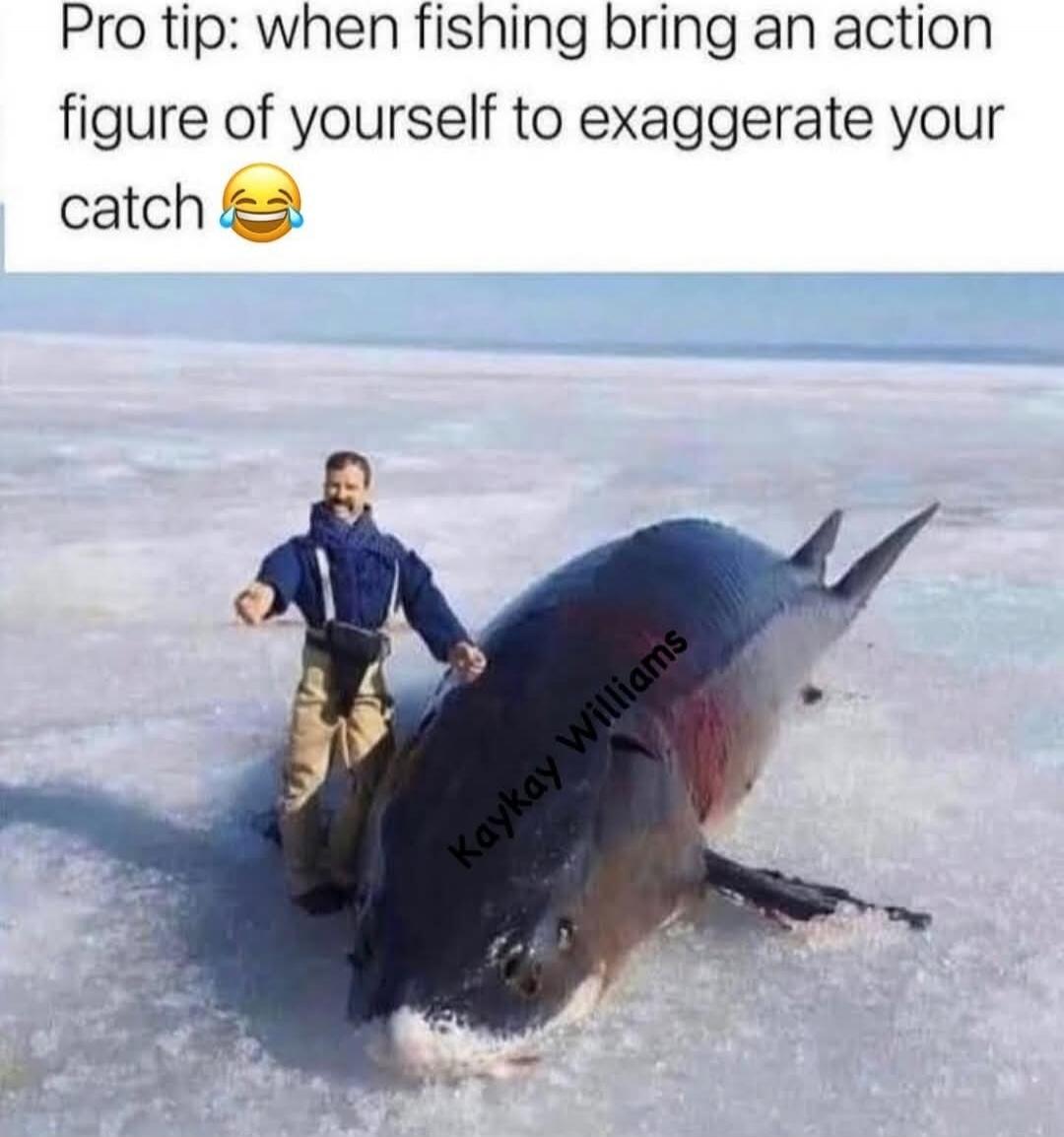 Pro tip: when fishing bring an action figure of yourself to exaggerate your catch 😂