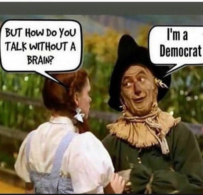 BUT How Do You TALK WITHOUT A BRAIN? I'm a Democrat