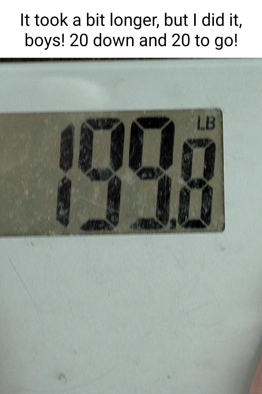 It took a bit longer, but I did it, boys! 20 down and 20 to go!
195.6 LB