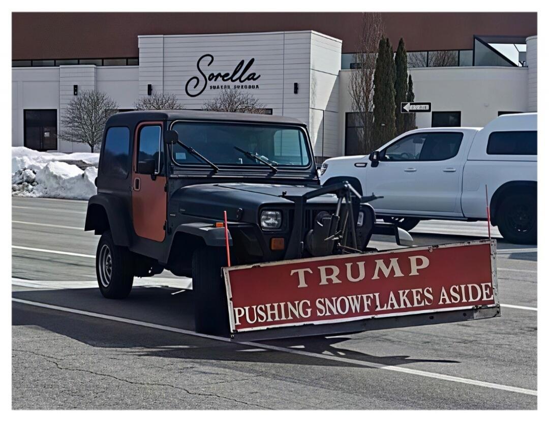 TRUMP PUSHING SNOWFLAKES ASIDE. Sorella. SUATAR SURODA.