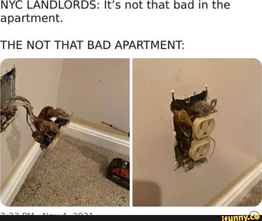 NYC LANDLORDS Its not that bad in the apartment THE NOT THAT BAD APARTMENT