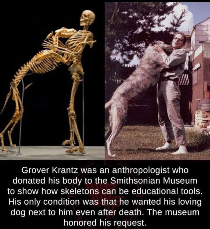 T EI AN rATESEL RN o sle os Y T6 e oTa X CTo My TR oToTo VA O R RS i T Yo T LV VLN to show how skeletons can be educational tools His only condition was that he wanted his loving dog next to him even after death The museum honored his request