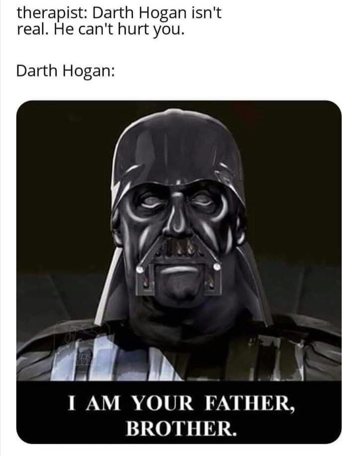 therapist Darth Hogan isnt real He cant hurt you Darth Hogan 20 N I AM YOUR FATHER BROTHER