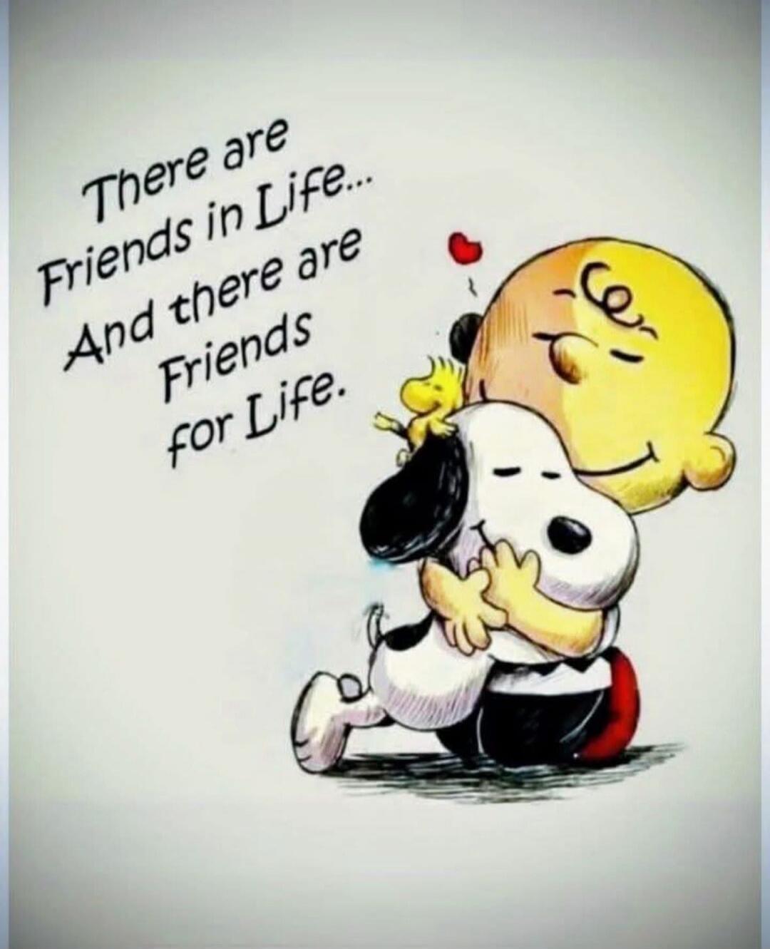 There are Friends in Life... And there are Friends for Life.