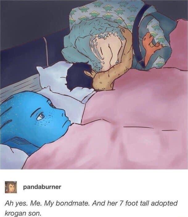 Il oo Ah yes Me My bondmate And her 7 foot tall adopted krogan son
