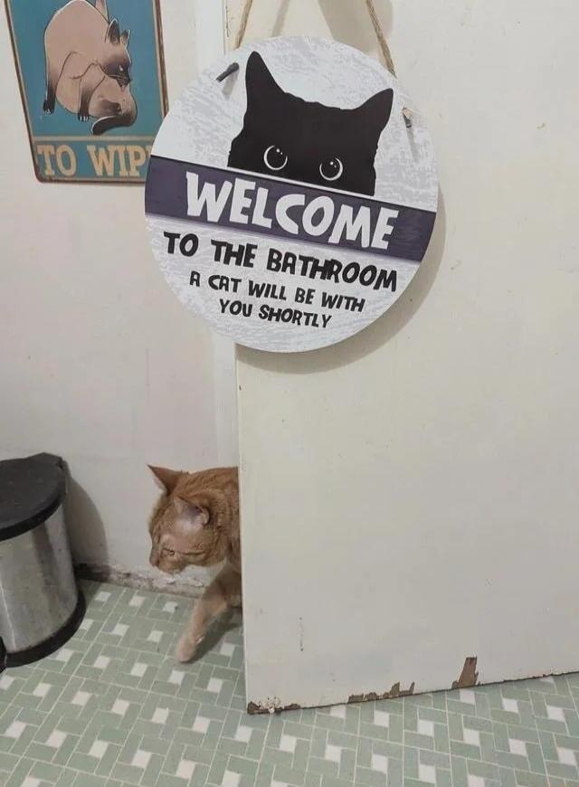 WELCOME TO THE BATHROOM A CAT WILL BE WITH YOU SHORTLY TO WIP