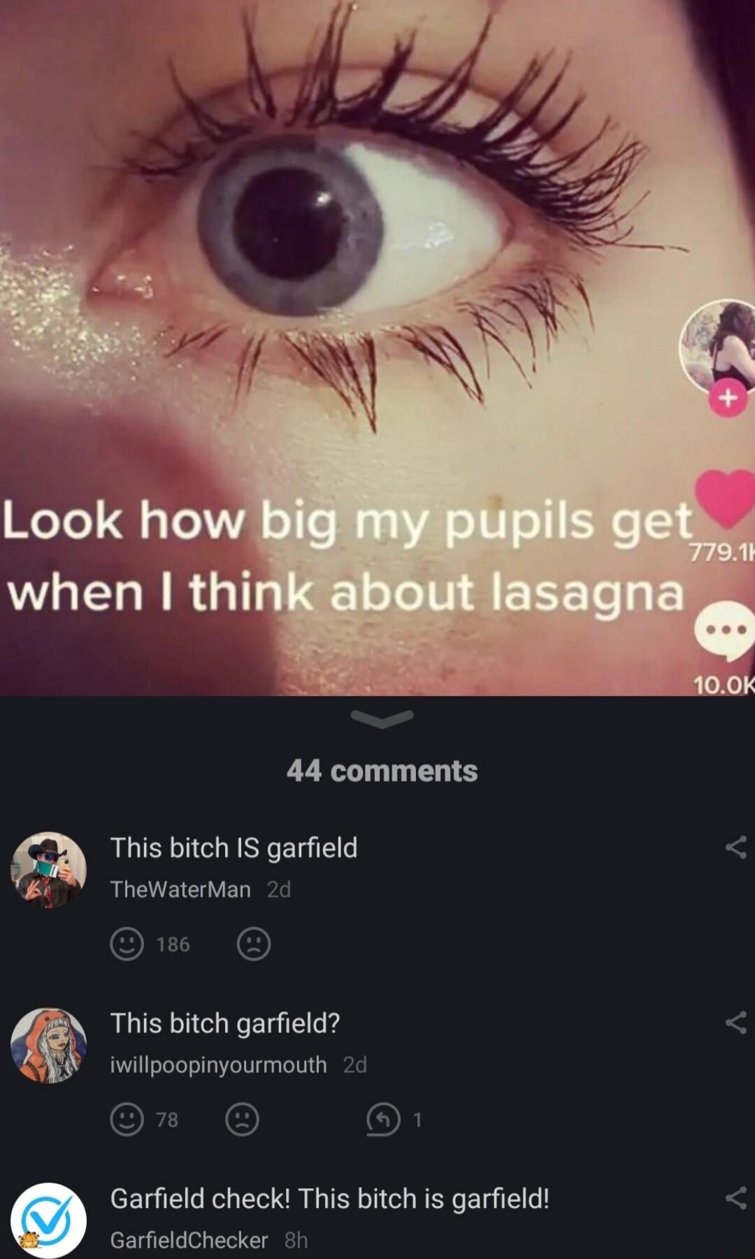 44 comments This bitch IS garfield TheWaterMan This bitch garfield iwillpoopinyourmouth Garfield check This bitch is garfield GarfieldChecker