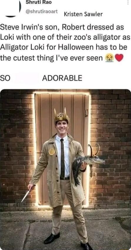 Kristen Sawler Steve Irwins son Robert dressed as Loki with one of their zoos alligator as Alligator Loki for Halloween has to be he cutest thing Ive ever seen SO ADORABLE