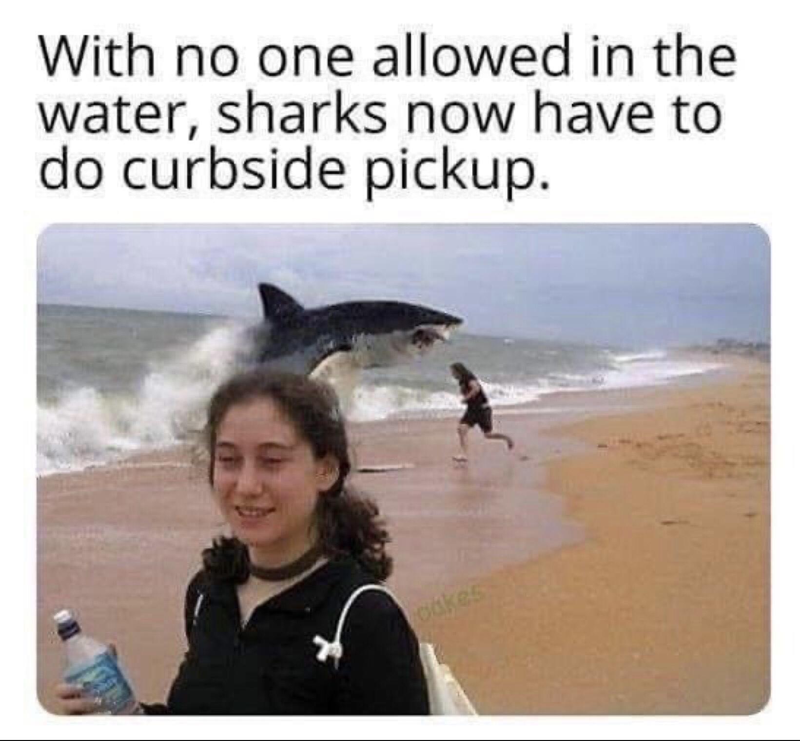 With no one allowed in the water sharks now have to do curbside pickup