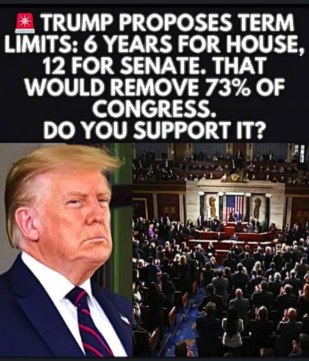TRUMP PROPOSES TERM LIMITS: 6 YEARS FOR HOUSE, 12 FOR SENATE. THAT WOULD REMOVE 73% OF CONGRESS. DO YOU SUPPORT IT?