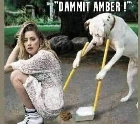 DAMMIT AMBER!