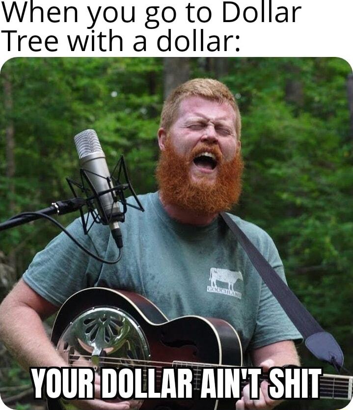 When you go to Dollar Tree with a dollar