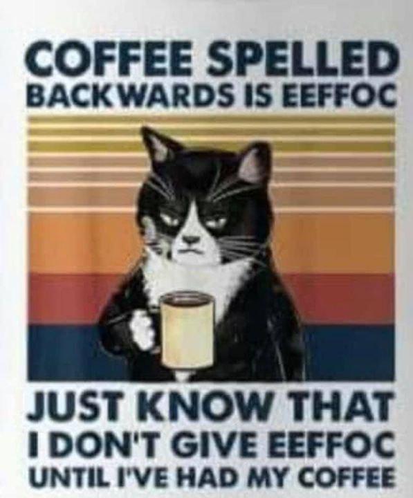 COFFEE SPELLED BACKWARDS IS EEFFOC JUST KNOW THAT I DONT GIVE EEFFOC UNTIL IVE HAD MY COFFEE