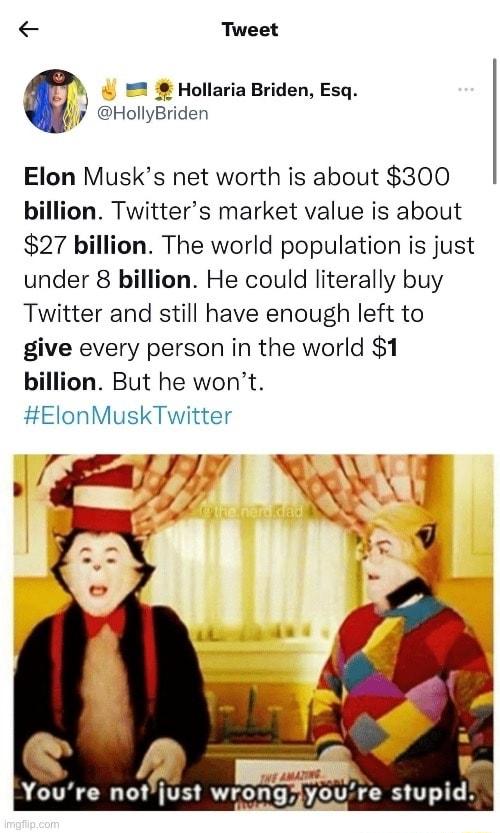 Tweet T Hollaria Briden Esq y HollyBriden Elon Musks net worth is about 300 billion Twitters market value is about 27 billion The world population is just under 8 billion He could literally buy Twitter and still have enough left to give every person in the world 1 billion But he wont ElonMuskTwitter W A Youre notjust wronglyoure stupid