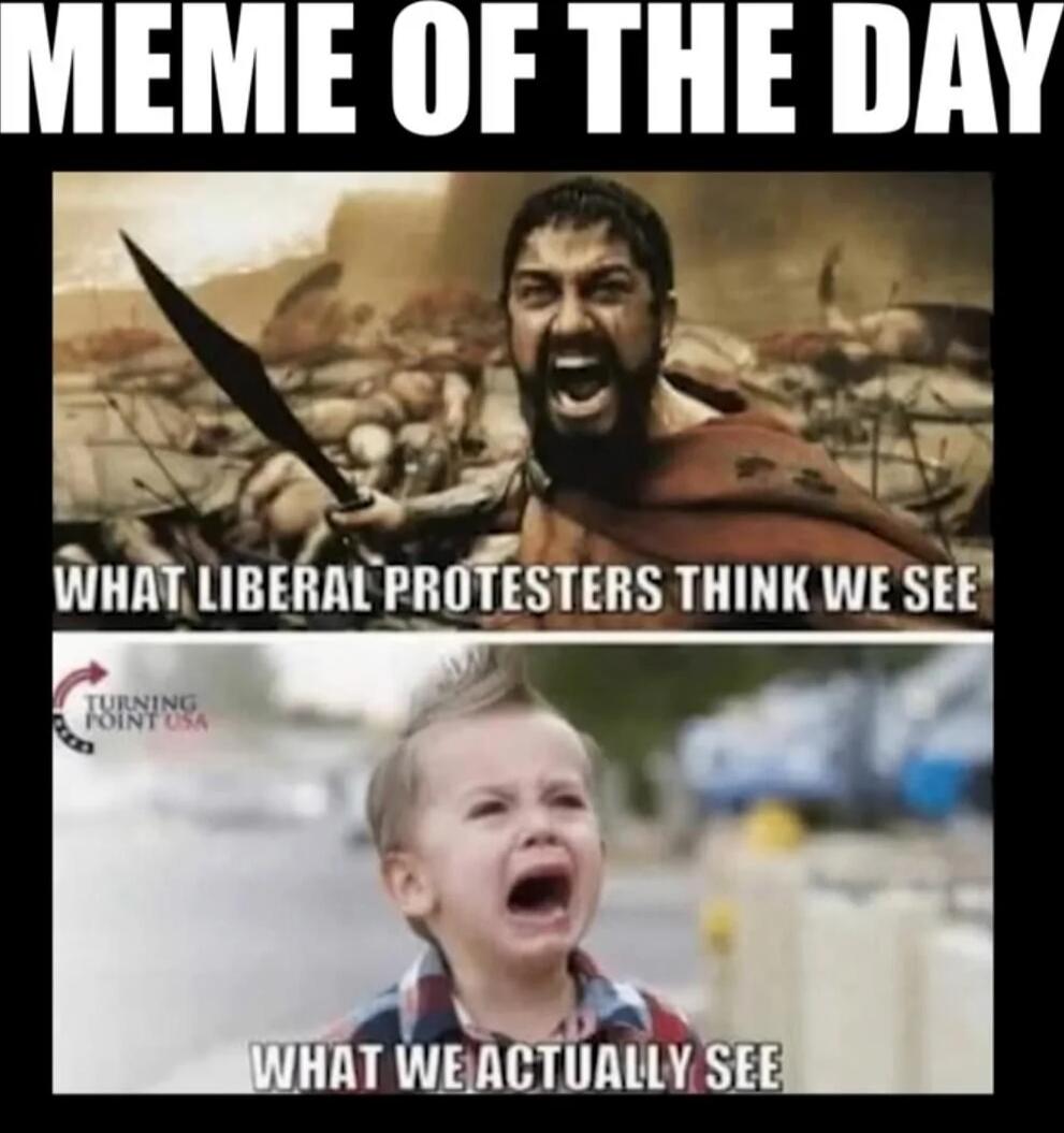 MEME OF THE DAY
WHAT LIBERAL PROTESTERS THINK WE SEE
WHAT WE ACTUALLY SEE