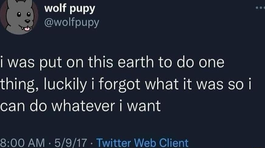 wolf pupy 7 wolfpupy i was put on this earth to do one thing luckily i forgot what it was so i o aNe ORWaEICIVEIARETa1d 800 AM 5917 Twitter Web Client