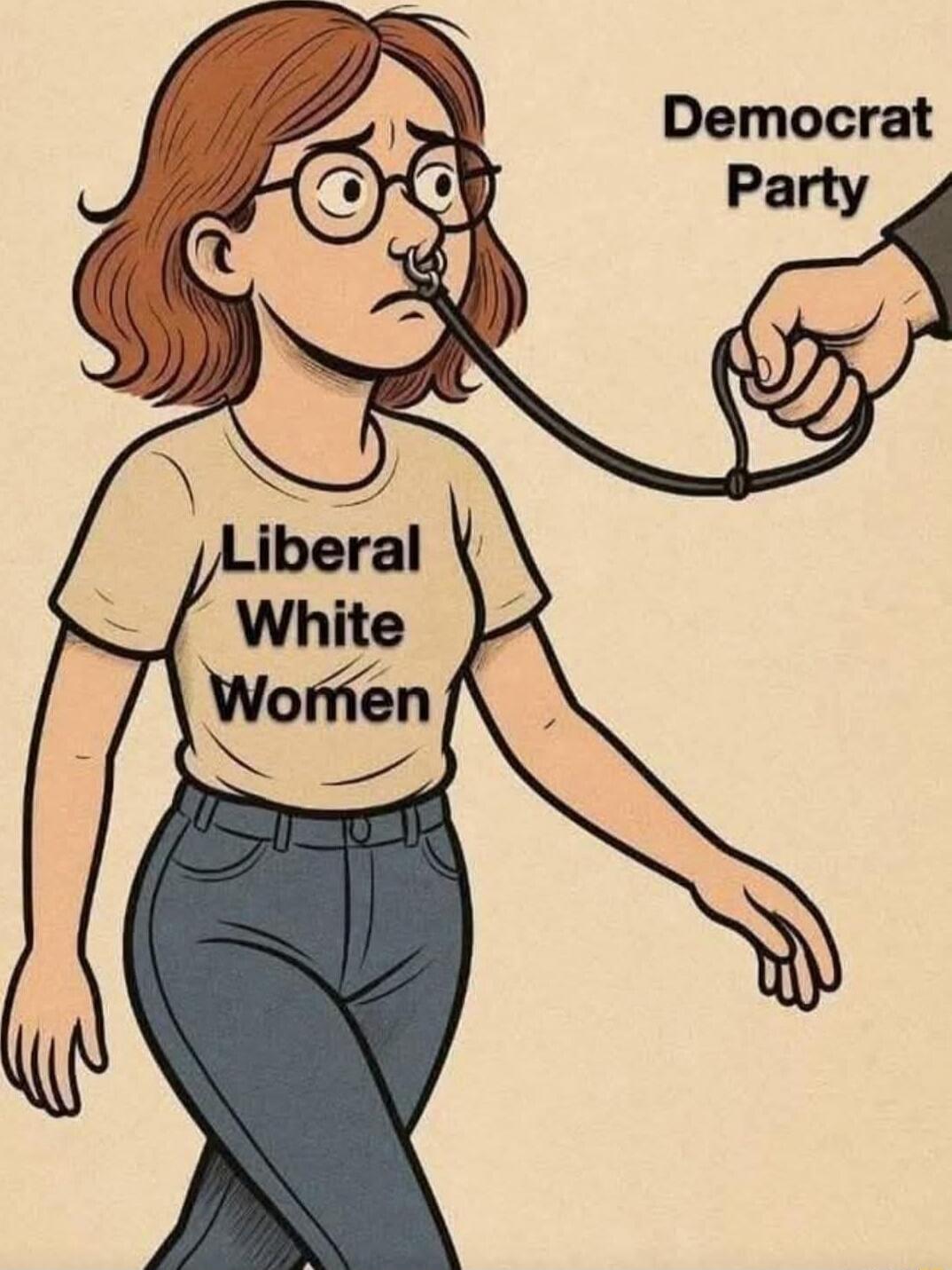 Liberal White Women
Democrat Party