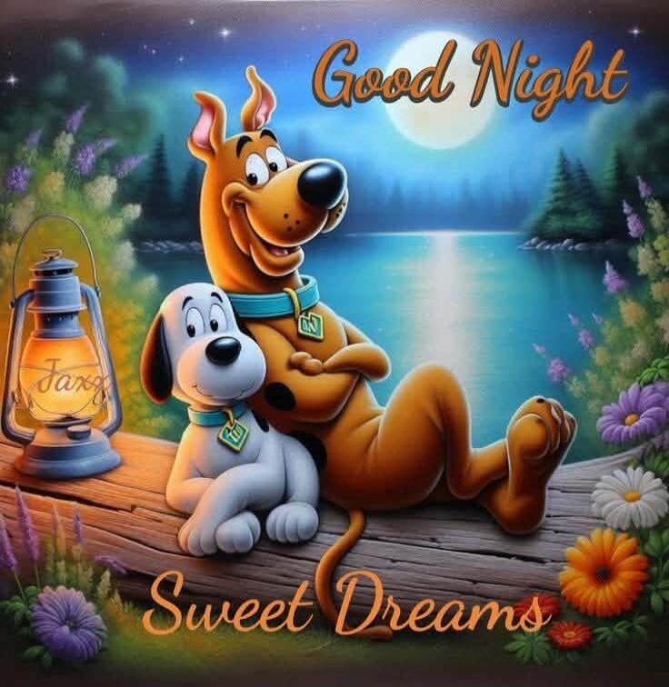 Good Night
Sweet Dreams
Fox