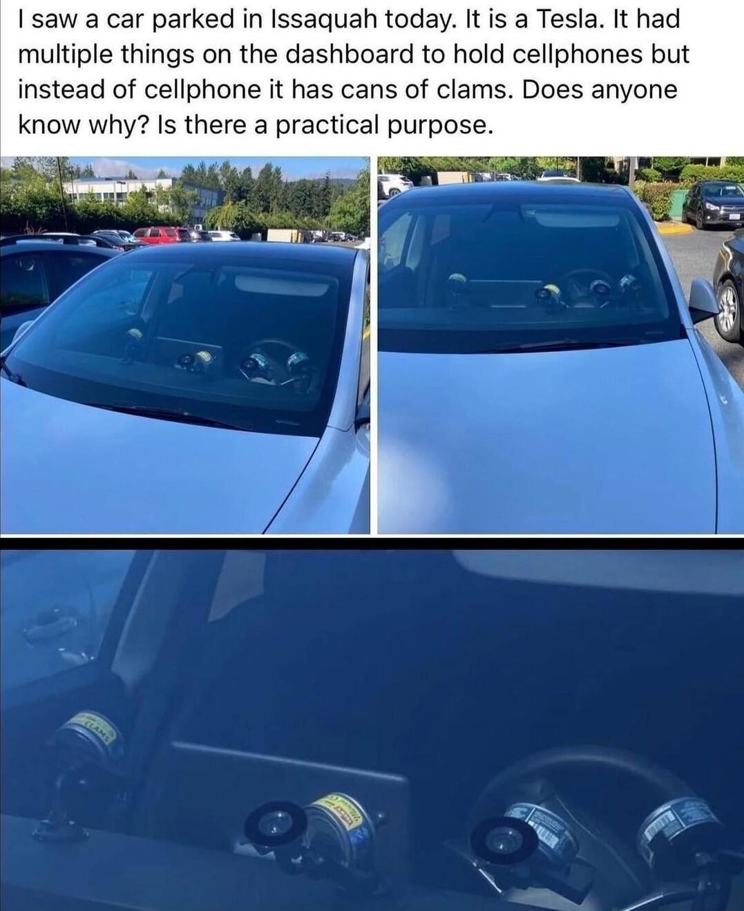 I saw a car parked in Issaquah today It is a Tesla It had multiple things on the dashboard to hold cellphones but instead of cellphone it has cans of clams Does anyone know why Is there a practical purpose