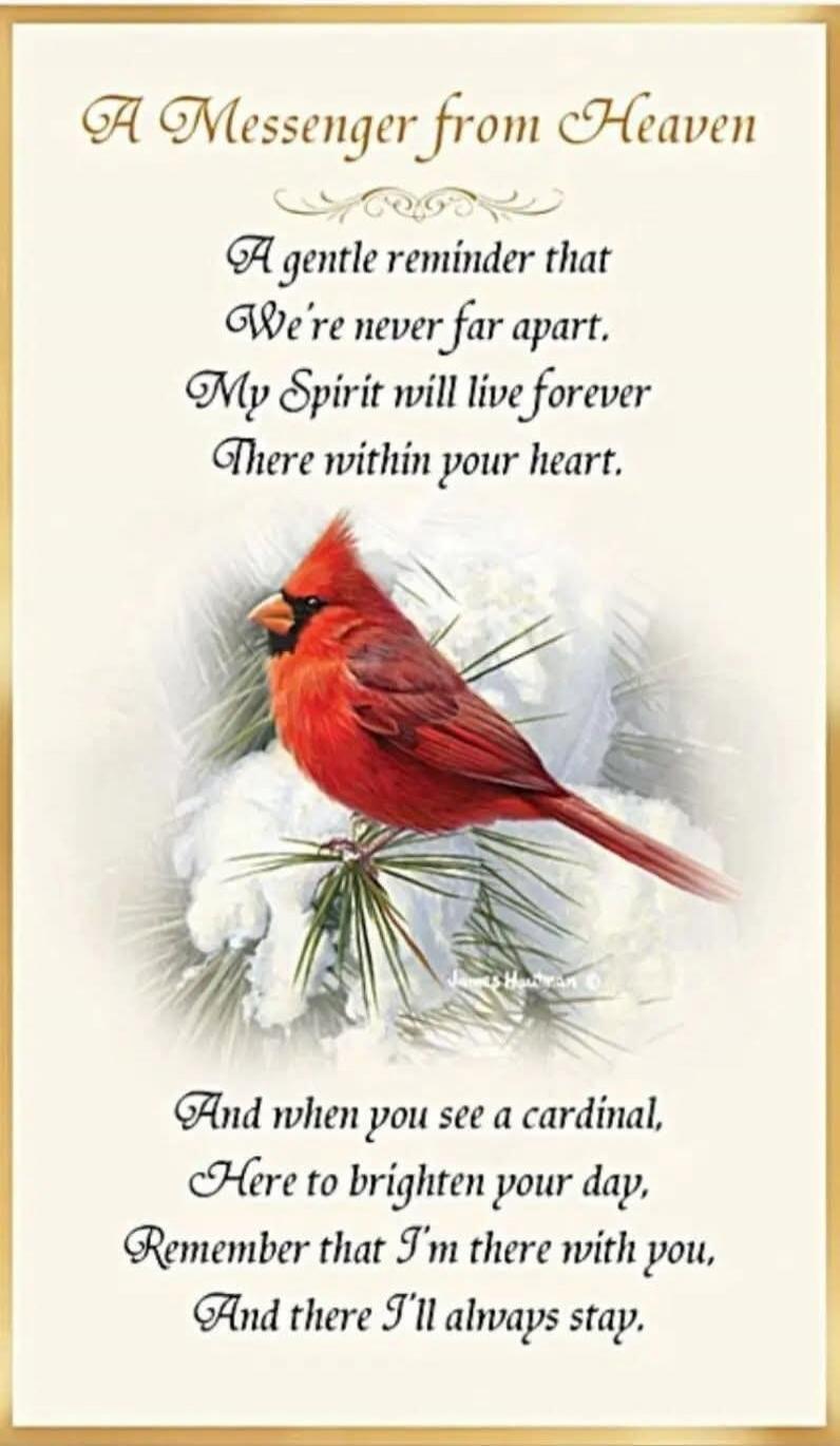 A Messenger from Heaven
A gentle reminder that We're never far apart.
My Spirit will live forever There within your heart.

And when you see a cardinal, Here to brighten your day, Remember that I'm there with you, And there I'll always stay.