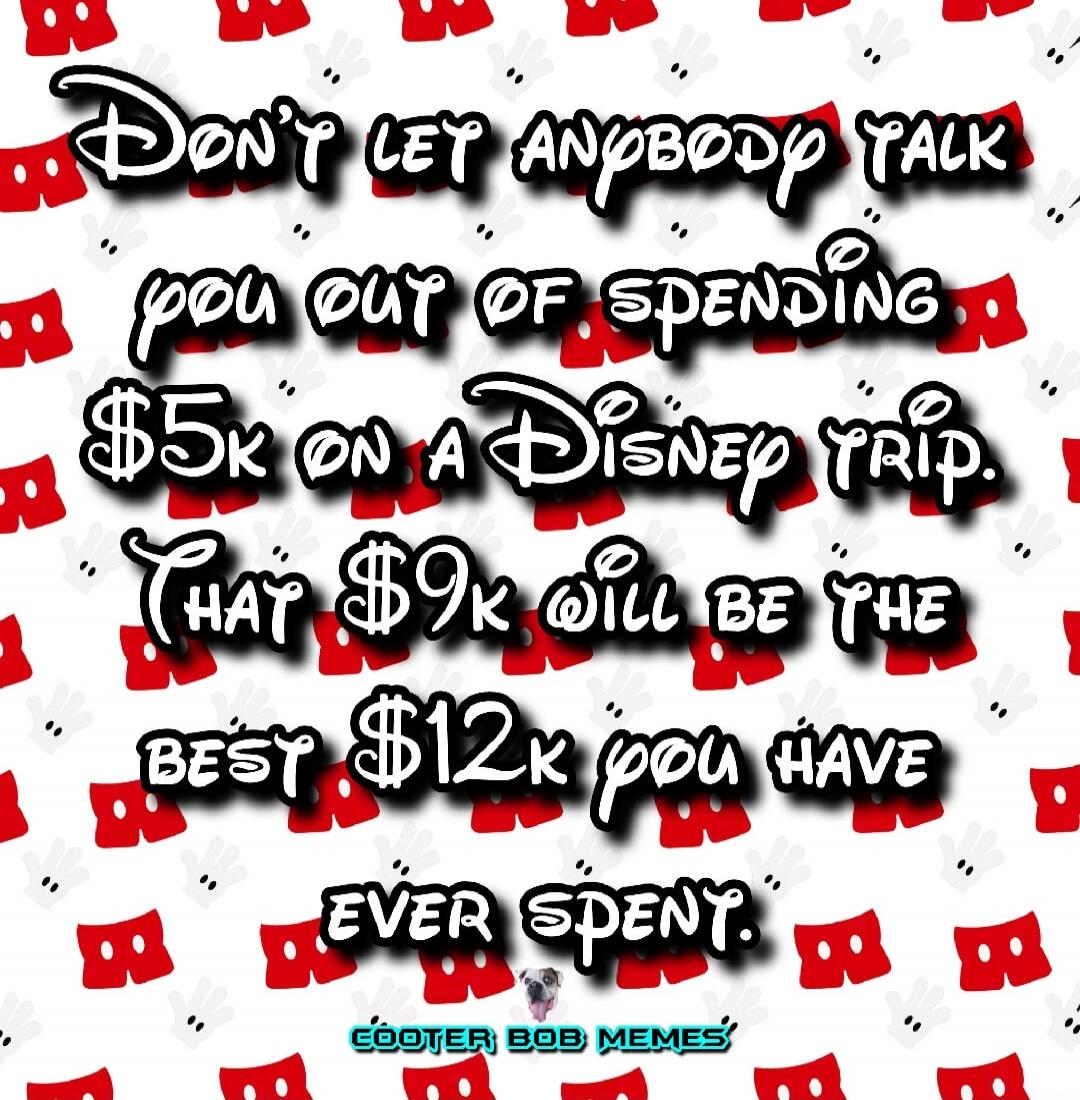 Don't let anybody talk you out of spending $5k on a Disney trip. That $9k will be the best $12k you have ever spent. COOTER BOB MEMES