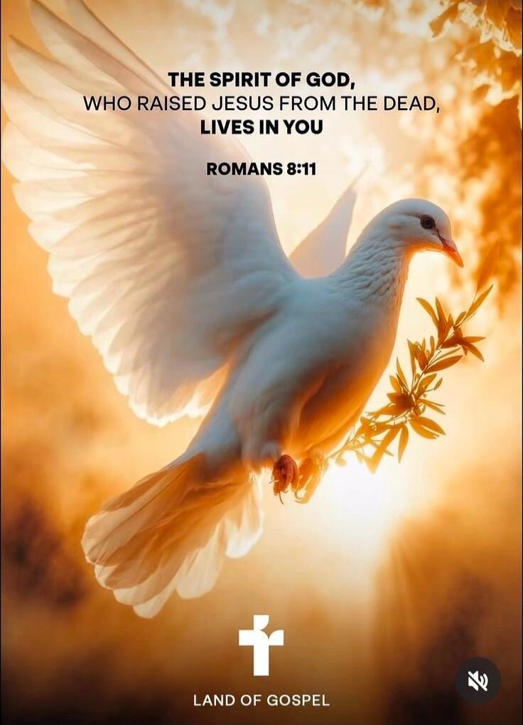 THE SPIRIT OF GOD, WHO RAISED JESUS FROM THE DEAD, LIVES IN YOU ROMANS 8:11 LAND OF GOSPEL