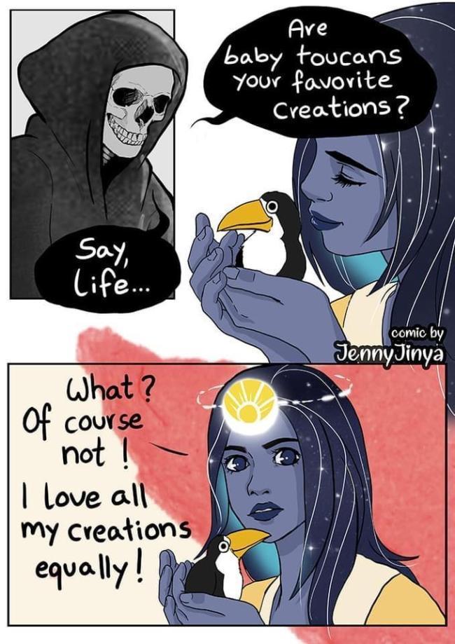 Ave boby toucans Your fovovite