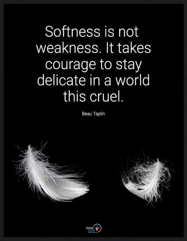 Softness is not weakness. It takes courage to stay delicate in a world this cruel. Beau Taplin. Positive Energy.