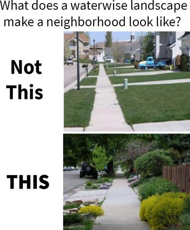 What does a waterwise landscape make a neighborhood look like THIS