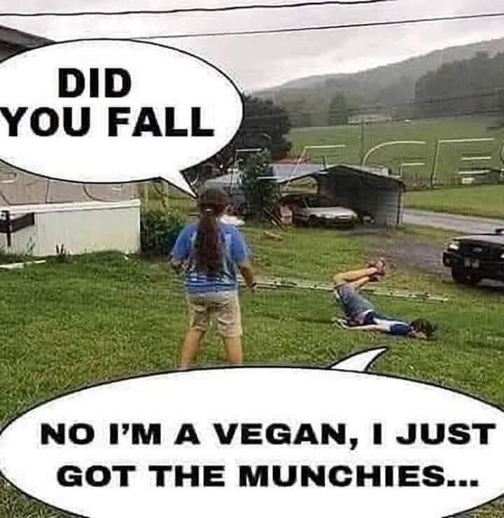 DID YOU FALL
NO I'M A VEGAN, I JUST GOT THE MUNCHIES...
