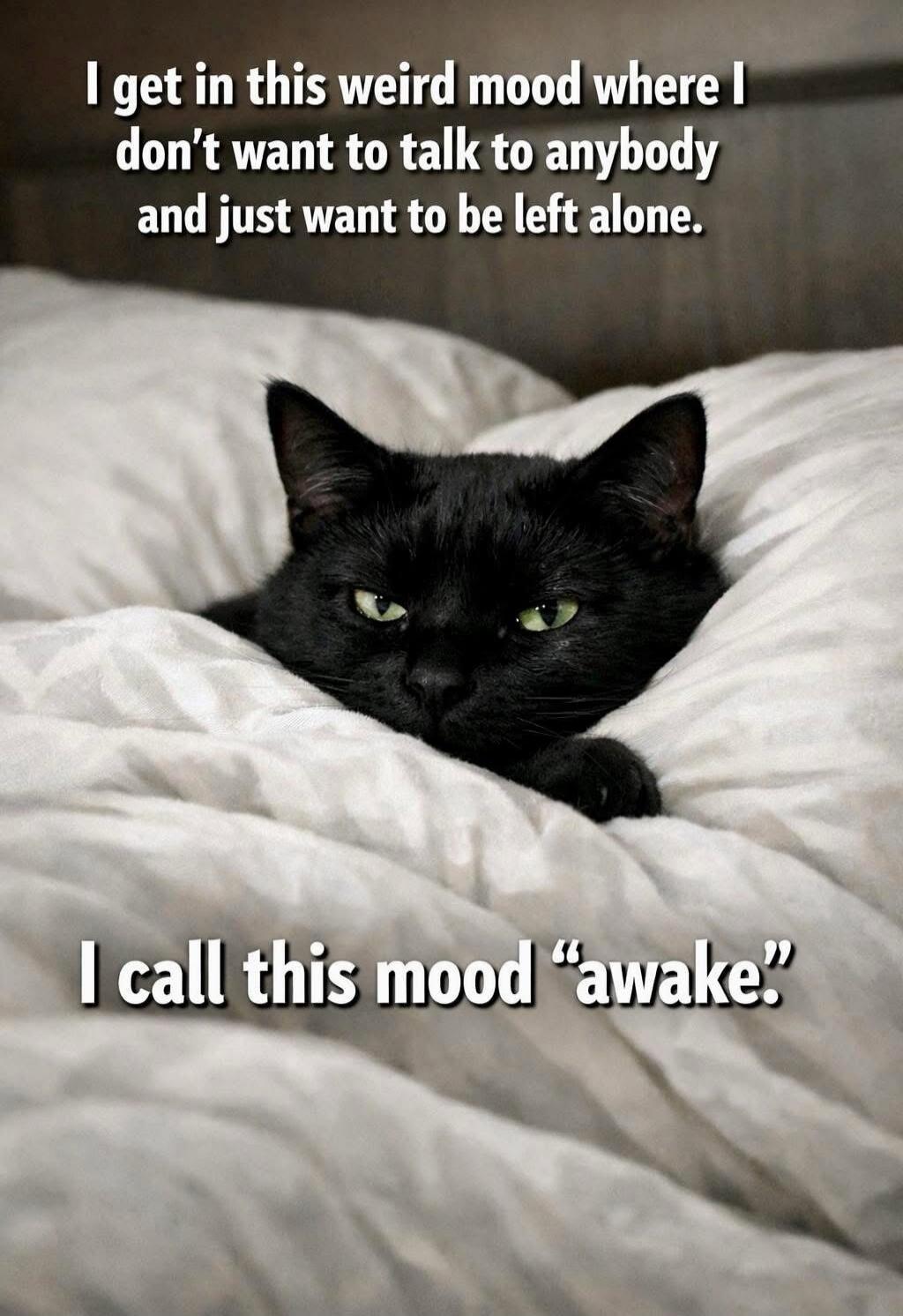 I get in this weird mood where I don't want to talk to anybody and just want to be left alone.
I call this mood 
