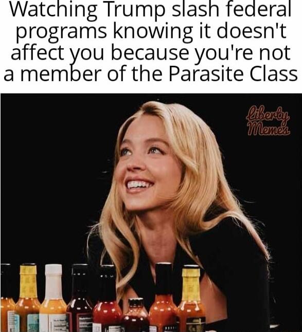 Watching Trump slas programs knowing it doesn t affect gou because youre not er of the Parasite Class amem