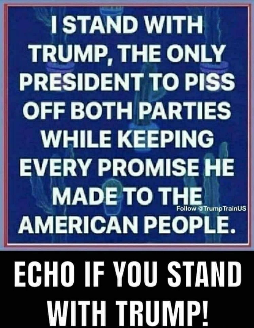 I STAND WITH TRUMP, THE ONLY PRESIDENT TO PISS OFF BOTH PARTIES WHILE KEEPING EVERY PROMISE HE MADE TO THE AMERICAN PEOPLE. Follow @TrumpTrainUS ECHO IF YOU STAND WITH TRUMP!