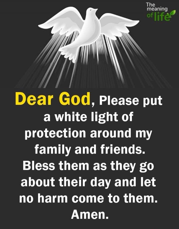 The meaning of life. Dear God, Please put a white light of protection around my family and friends. Bless them as they go about their day and let no harm come to them. Amen.