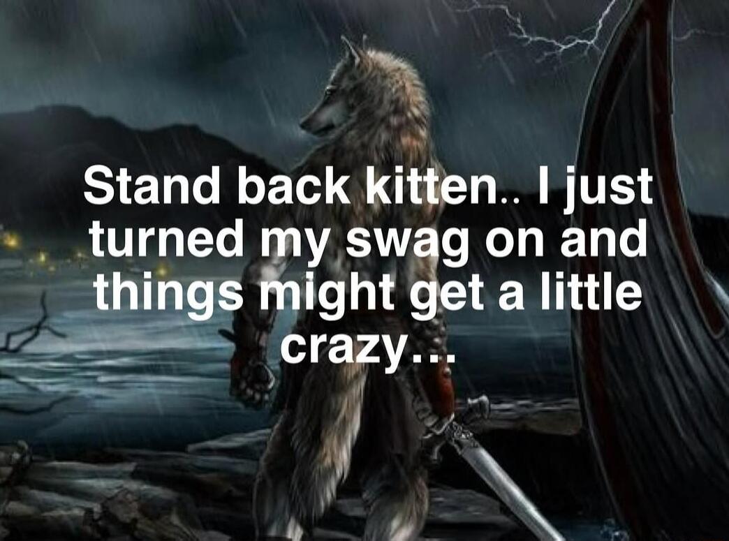 Stand back kitten.. I just turned my swag on and things might get a little crazy...