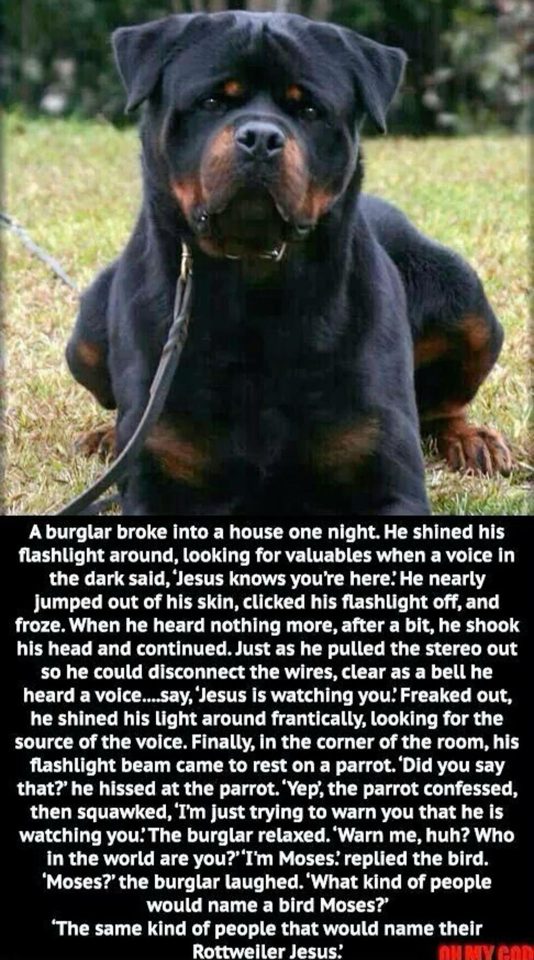 A burglar broke into a house one night. He shined his flashlight around, looking for valuables when a voice in the dark said, 'Jesus knows you're here.' He nearly jumped out of his skin, clicked his flashlight off, and froze. When he heard nothing more, after a bit, he shook his head and continued. Just as he pulled the stereo out so he could disco