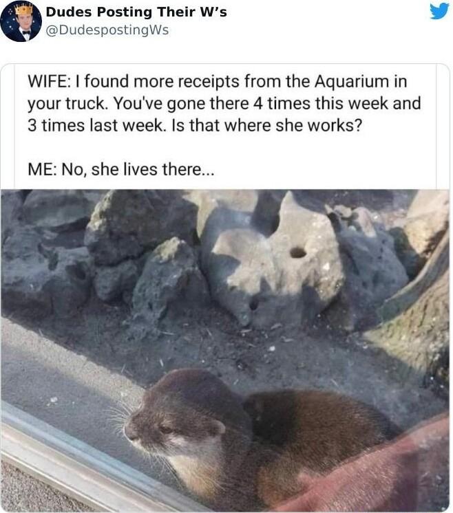 Dudes Posting Their Ws DudespostingWs WIFE found more receipts from the Aquarium in your truck Youve gone there 4 times this week and 3 times last week Is that where she works ME No she lives there