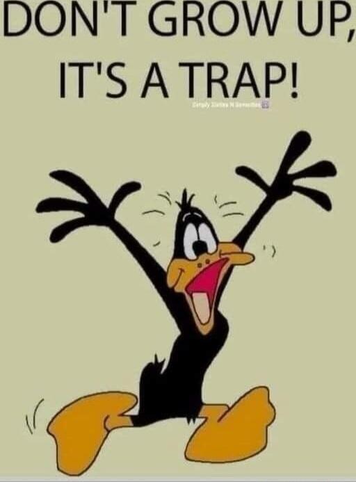 DON'T GROW UP, IT'S A TRAP!